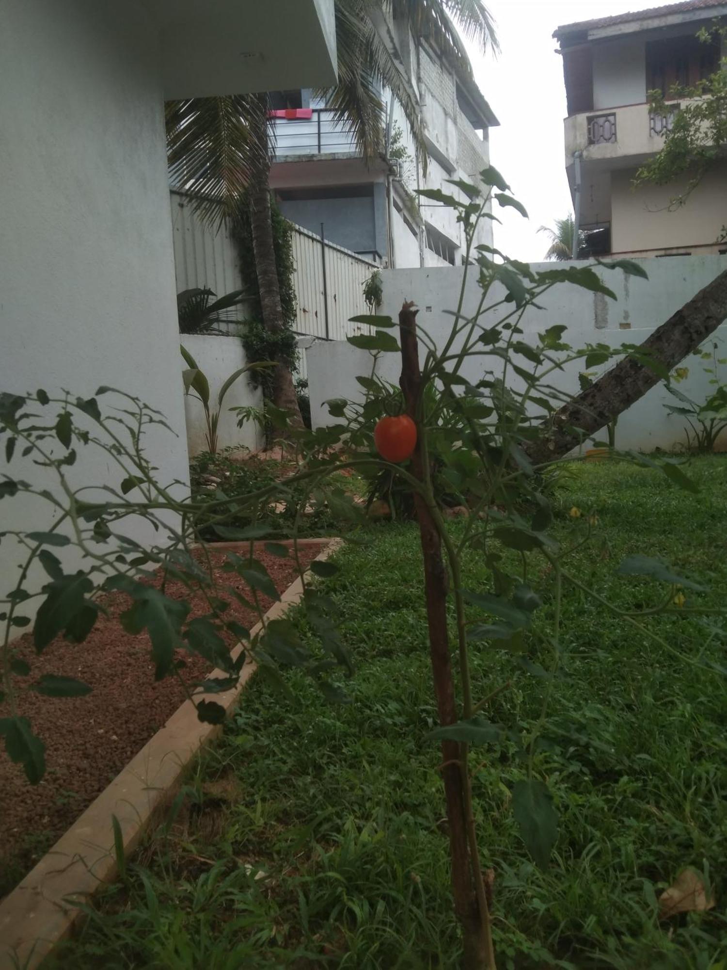 Ayu Hostel Ambalangoda  Buitenkant foto